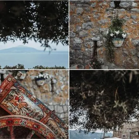 Bed & Breakfast Mariagiovanna Vico Equense